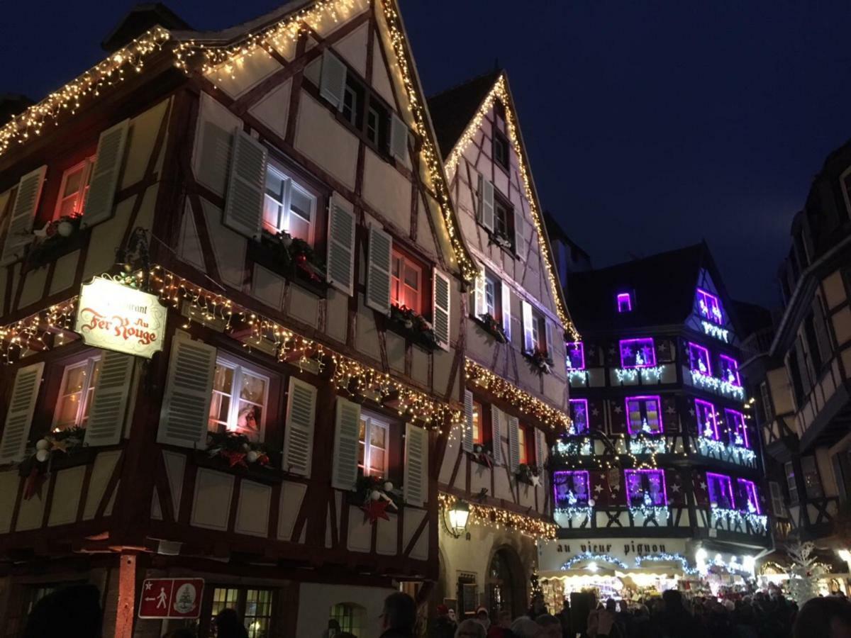 Beaux Lofts Pres D'Europa Park Et Strasbourg Villa Obenheim Buitenkant foto